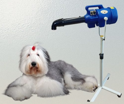 Professzionális Szárító és vízkicsapató – Állvánnyal, fúvókákkal, tömlővel