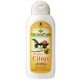 PPP AromaCare™ Citrus Flea Defense Shampoo, 13.5 oz. (400 mL)