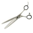 WINNER LINE Master 440C tapper scissors 36 teeth/ 18.5 cm
