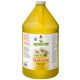 PPP AromaCare™ Deodorizing Daisy Shampoo, 1 gal. Dilutes 32-1