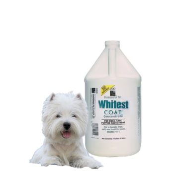   PPP Whitest Coat™ Fehérítő Sampon, 1 gal.  (3.785 L) Keverési arány 12-1