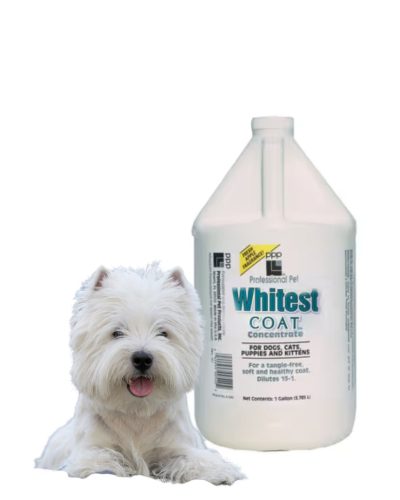 PPP Whitest Coat™ Fehérítő Sampon, 1 gal.  (3.785 L) Keverési arány 12-1