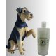 BRIGHTWORKS Liquid Silver Sampon  – Texture Protecting Keratin & Biotin Sampon  trimmelős szőrzetre 1000 ml