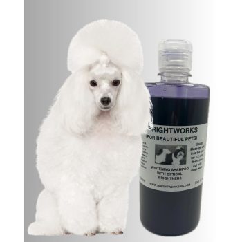 BRIGHTWORKS - Whitening, Fehérítő sampon 500 ml.