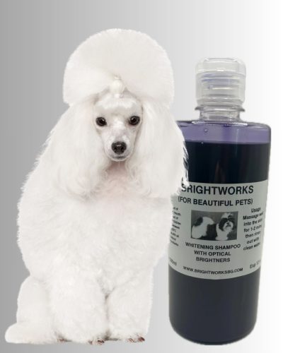 BRIGHTWORKS - Whitening, Fehérítő sampon 500 ml.
