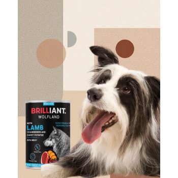   BRILLIANT WOLFLAND BÁRÁNY VÖRÖSÁFONYÁVAL ÉS ÉDESBURGONYÁVAL 400 Gr.