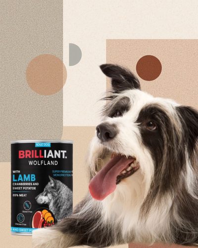 BRILLIANT WOLFLAND BÁRÁNY VÖRÖSÁFONYÁVAL ÉS ÉDESBURGONYÁVAL 400 Gr.