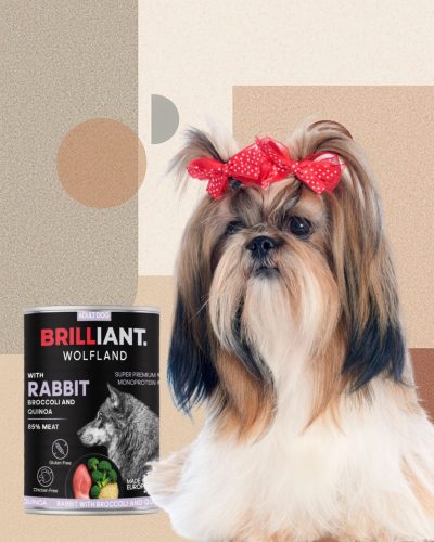 BRILLIANT WOLFLAND NYÚL BROKKOLIVAL ÉS QUINOÁVAL 400 G