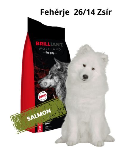 BRILLIANT Wolfland -SALMON LAZAC ÉS RIZS 12KG