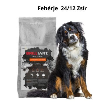   BRILLIANT WOLFLAND - SEA FISH  Atlanti tőkehal -PREMIUM ADULT, MEDIUM 20KG