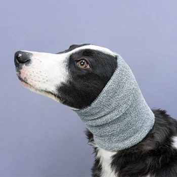 IBANEZ Anti-stress ear protection set (S/M/L)