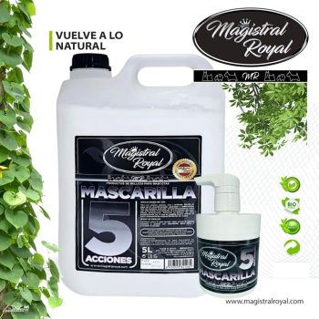 Magistral Royal 5 Actions Repair Maszk  5 liter