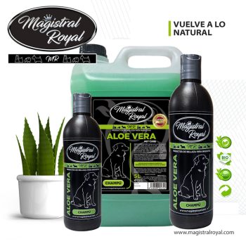 Magistral Royal Aloe Vera - Hipoallergén sampon 500 ml