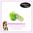 Magistral Royal Manzana, Mélytisztító és Előmosó Almás sampon 5 liter