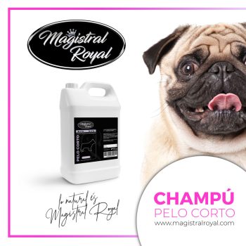 Magistral Royal Pelo Corto- Sampon rövid szőrzetre 1 liter