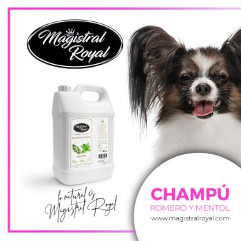   Magistral Royal Rozmaring és Mentol Sampon Bőrproblémákra 5 liter