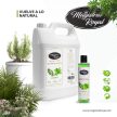 Magistral Royal Rozmaring és Mentol Sampon Bőrproblémákra 5 liter