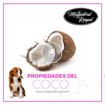   Magistral Royal Uso Frecuente Hidratáló sampon 1 liter Gyakori használatra