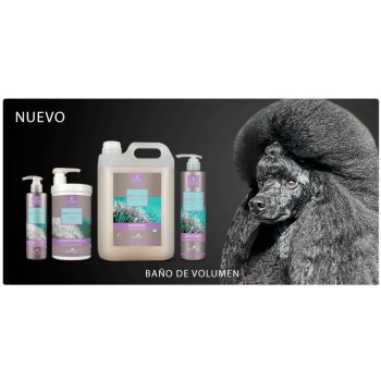 Kutyaápolási termékek