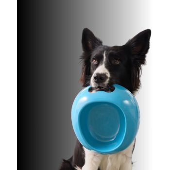  Szuperprémium kutyaeledelek